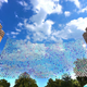 Image for article titled 6,000 Used CDs Never Looked So Pretty
